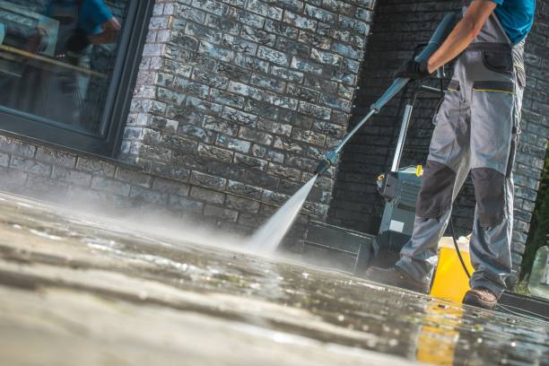 Best Dumpster Area Cleaning  in South Ack, NY